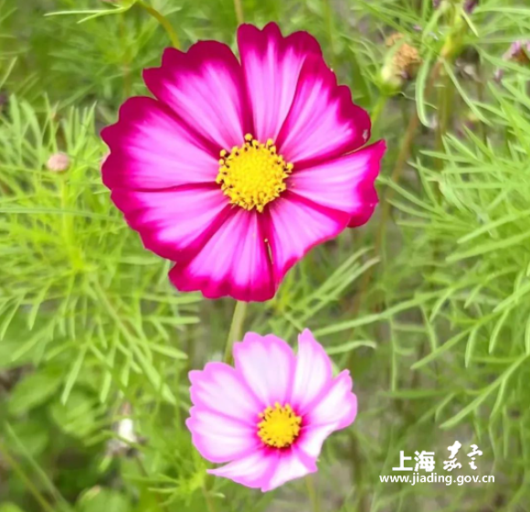 5b0e1583a3f348acb54bd073c22afb6e.png
