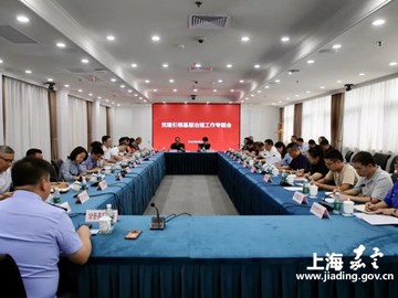 聚焦难题攻坚与效能提升，区领导为安亭党建引领基层治理工作“把脉开方”