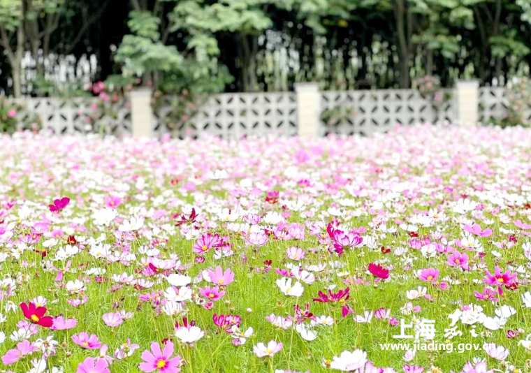 84ad7299c4d544f5a2ce8590bce68e16.png